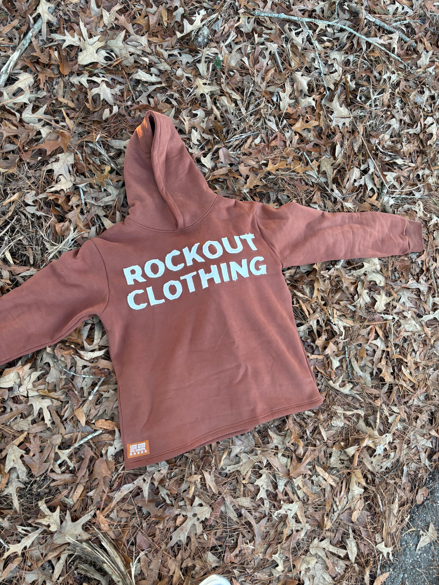 Ashy Brown hoodie