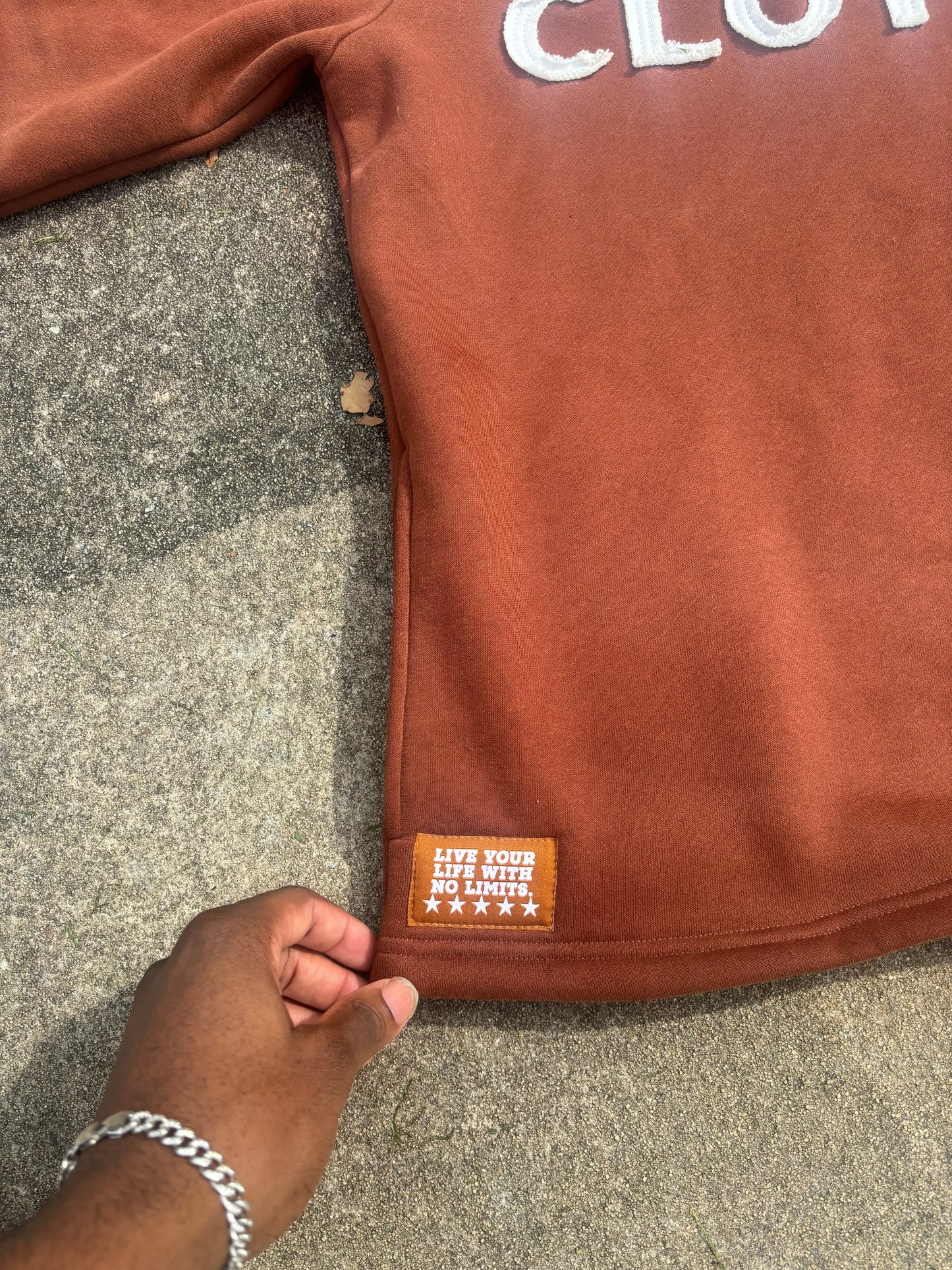 Ashy Brown hoodie